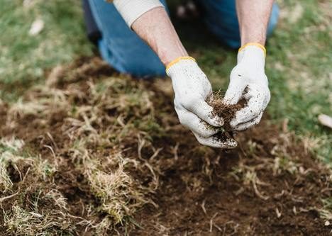 Tutti pazzi per il giardinaggio
